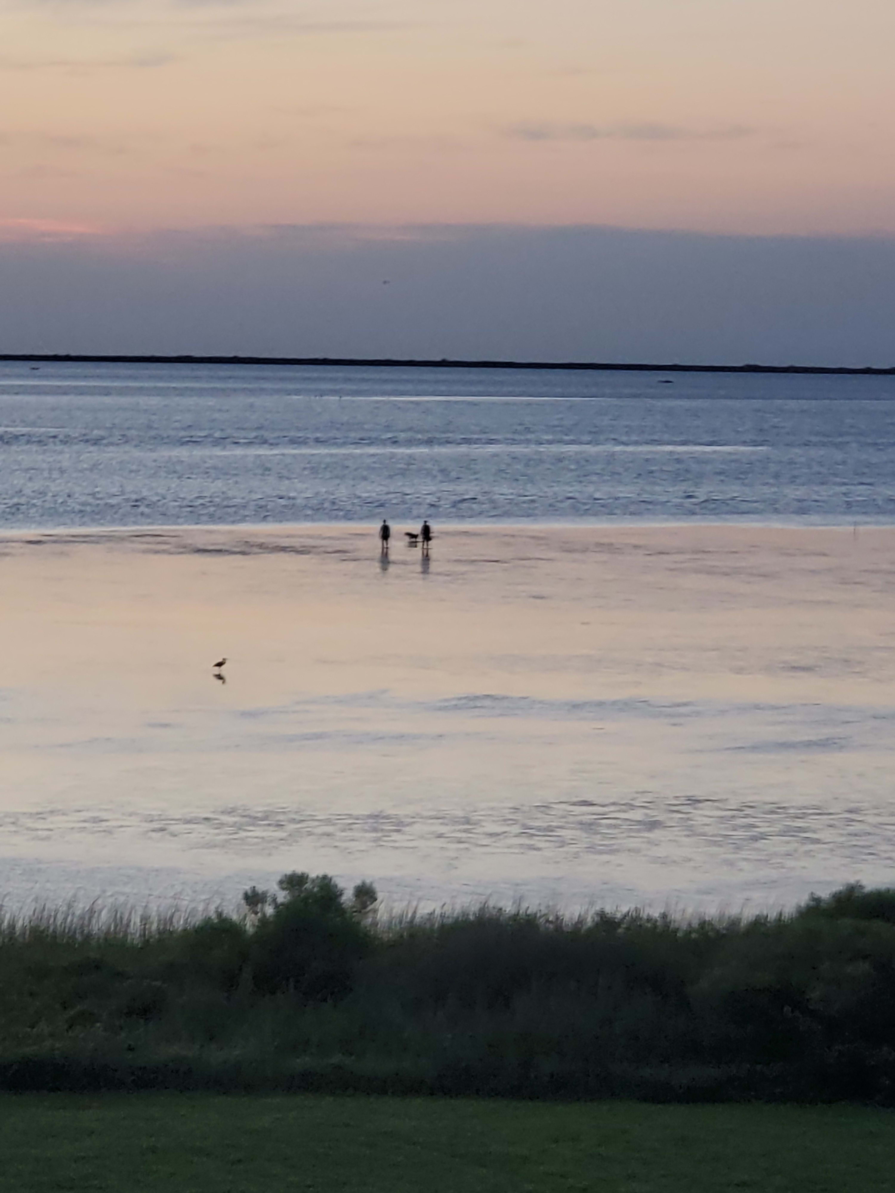 Home Best of the West Galveston